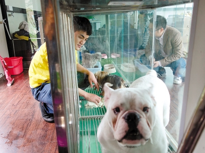 undefined{{pos:,w:,h:}}