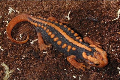 undefined{{pos:,w:,h:}}