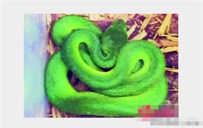 undefined{{pos:,w:,h:}}