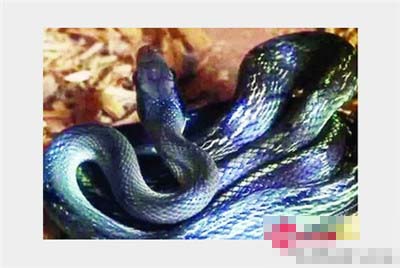 undefined{{pos:,w:,h:}}