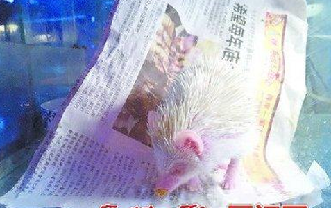 undefined{{pos:,w:,h:}}