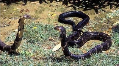 undefined{{pos:,w:,h:}}