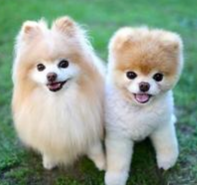 undefined{{pos:,w:,h:}}