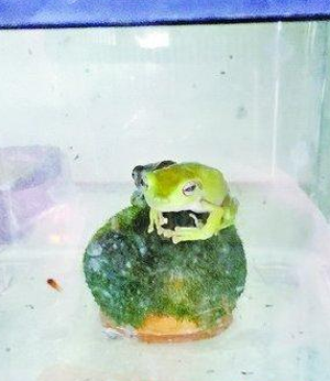 undefined{{pos:,w:,h:}}