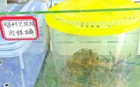 undefined{{pos:,w:,h:}}