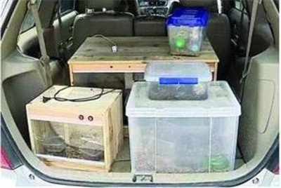 undefined{{pos:,w:,h:}}