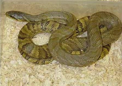 undefined{{pos:,w:,h:}}