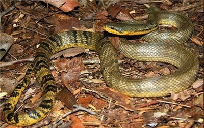 undefined{{pos:,w:,h:}}