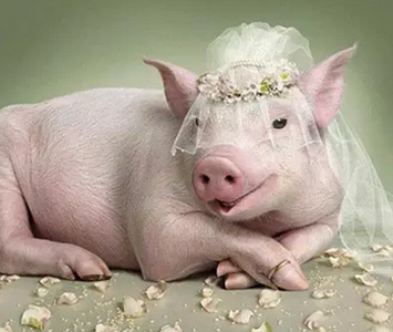 今天是我一生中最幸福的时刻