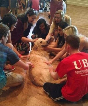 你就不要摸我了吧！