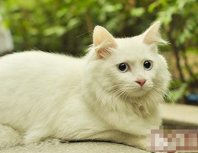 undefined{{pos:,w:,h:}}