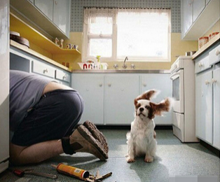 说什么呀,屁风太大听不到!