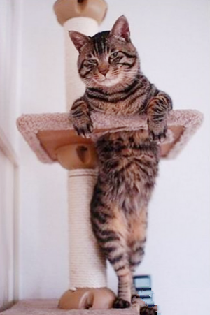 苗条、妖娆的身材，就是芥末自信！！！！