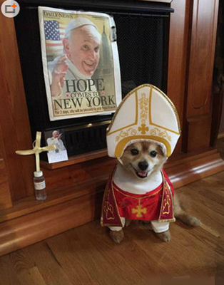 人类过来，我要给你赐予一点圣水~