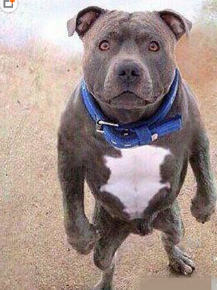 这是谁惹到你了？