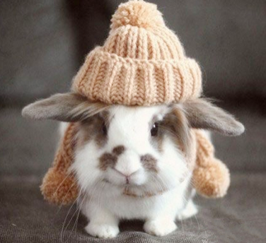 麻麻，帽子太小鸟，护不住耳朵