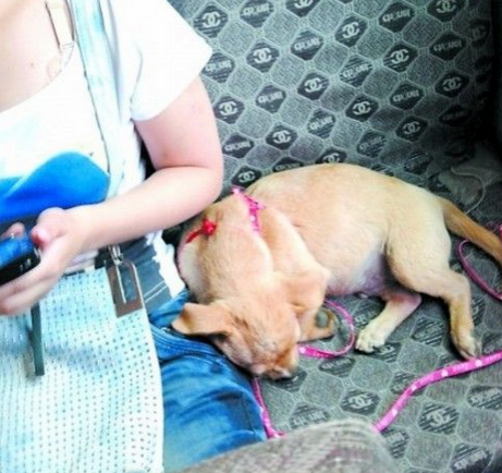 undefined{{pos:,w:,h:}}