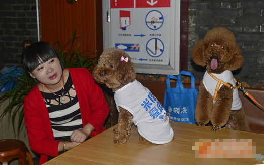 undefined{{pos:,w:,h:}}