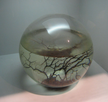 undefined{{pos:,w:,h:}}