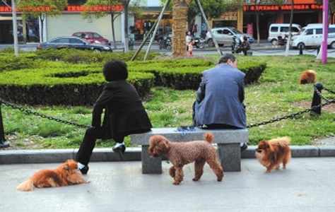 undefined{{pos:,w:,h:}}