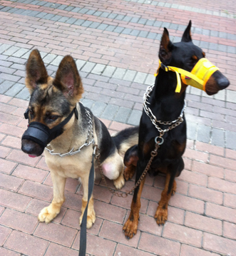 undefined{{pos:,w:,h:}}