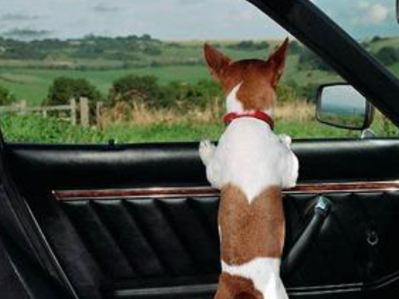 undefined{{pos:,w:,h:}}