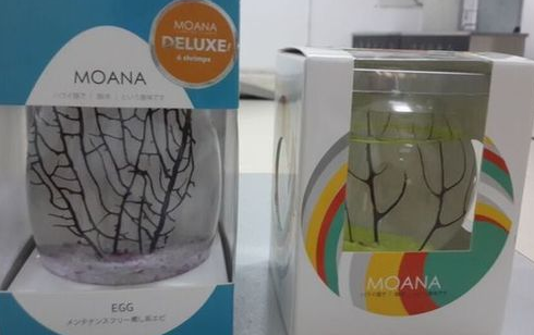 undefined{{pos:,w:,h:}}