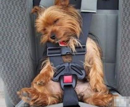 undefined{{pos:,w:,h:}}