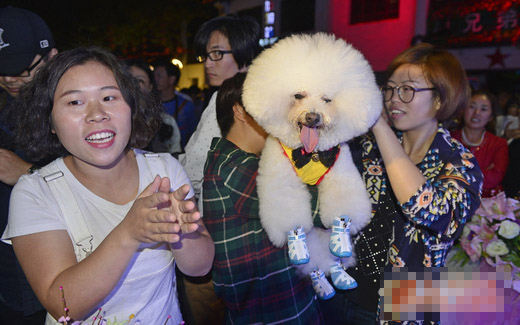 undefined{{pos:,w:,h:}}