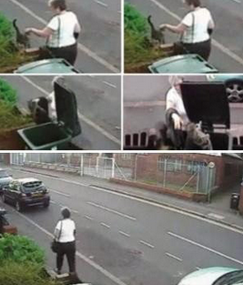 undefined{{pos:,w:,h:}}