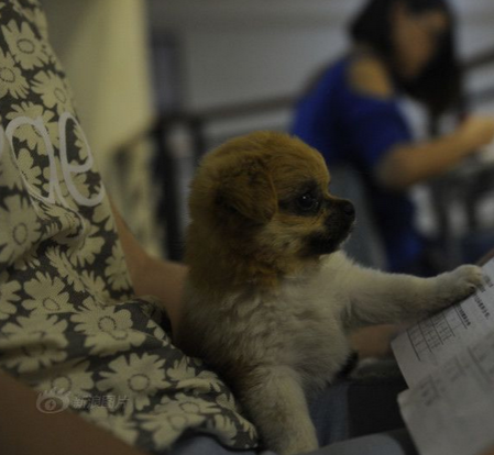 undefined{{pos:,w:,h:}}