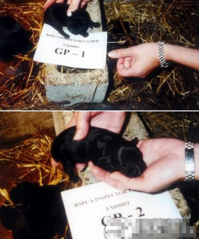 undefined{{pos:,w:,h:}}