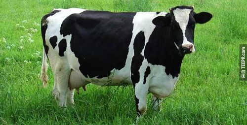 undefined{{pos:,w:,h:}}