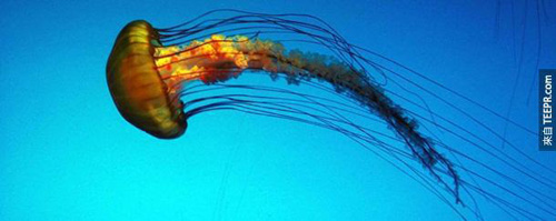 undefined{{pos:,w:,h:}}