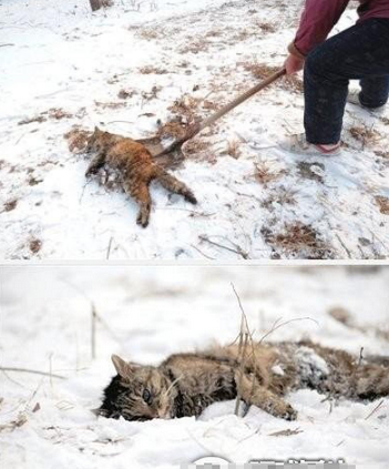 undefined{{pos:,w:,h:}}