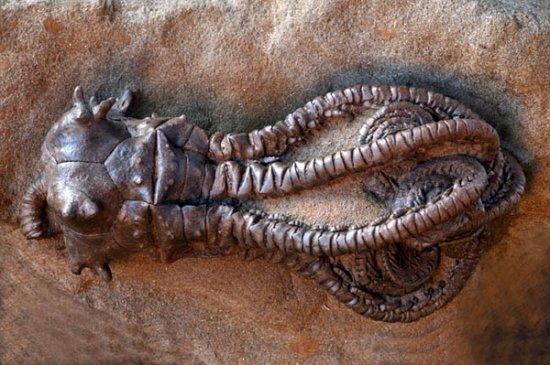 undefined{{pos:,w:,h:}}