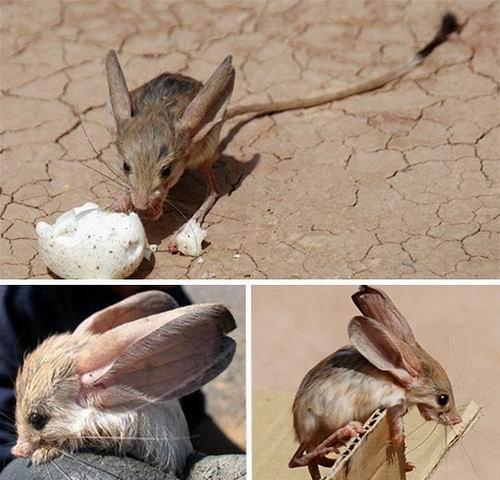 undefined{{pos:,w:,h:}}