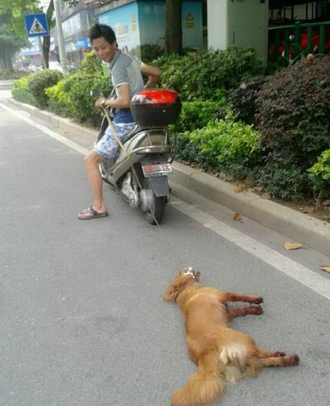 undefined{{pos:,w:,h:}}