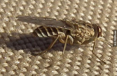 undefined{{pos:,w:,h:}}