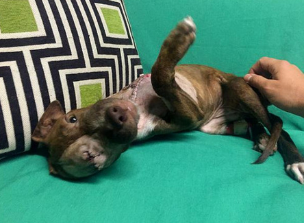 undefined{{pos:,w:,h:}}