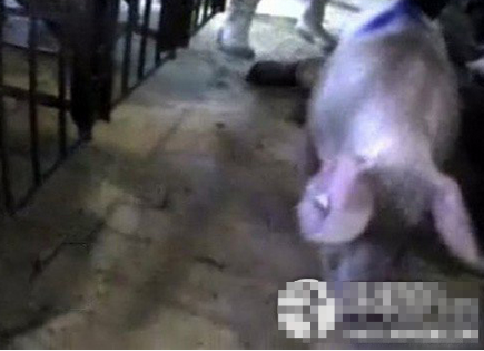 undefined{{pos:,w:,h:}}