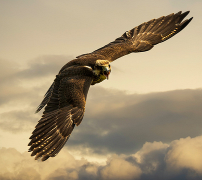 undefined{{pos:,w:,h:}}