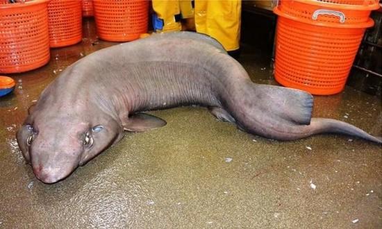 undefined{{pos:,w:,h:}}