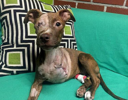 undefined{{pos:,w:,h:}}