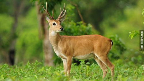 undefined{{pos:,w:,h:}}