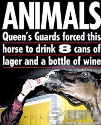 undefined{{pos:,w:,h:}}