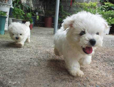 undefined{{pos:,w:,h:}}