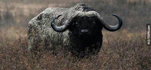 undefined{{pos:,w:,h:}}