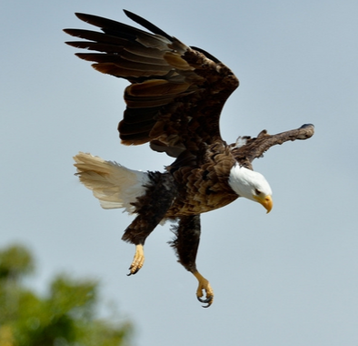 undefined{{pos:,w:,h:}}