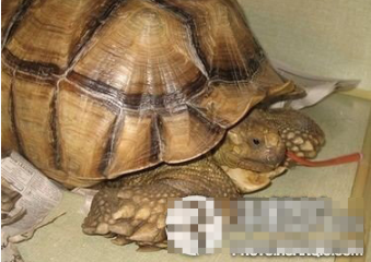 undefined{{pos:,w:,h:}}